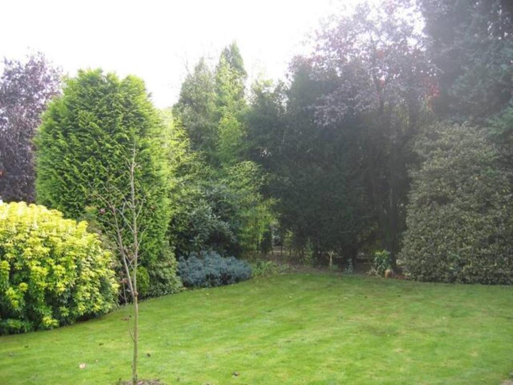 Right Garden Suite In Villa Near Centre And Tue Eindhoven Exterior photo